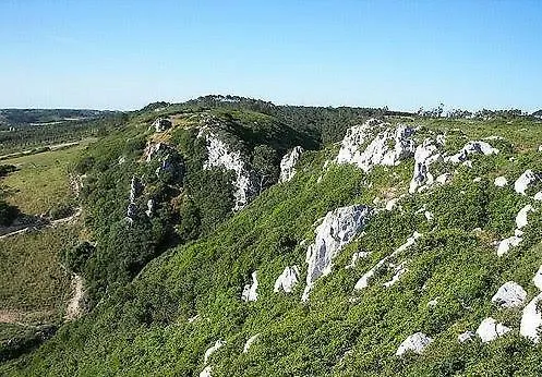 Casa vacanze Feather House