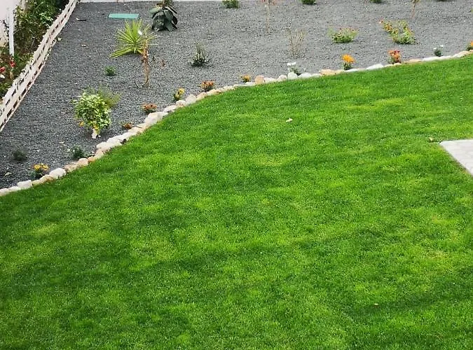 Casa vacanze Feather House São Bartolomeu